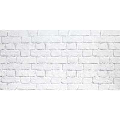 PANNELLO DECORATIVO CM 50X100 DIS. MURO