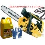 ALPINA CHAINSAW FOR PRUNING A305 OIL KIT, GLOVES, CHAIN AND