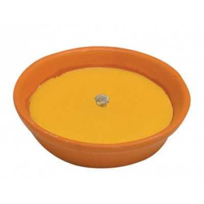 CITRONELLA IN COCCIO ANTIVENTO CM.14 