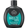 BREEZE DEO SQUEEZE MEN 100 ML.DRY PROTEC