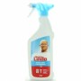 MASTRO LINDO SPRAY CON CANDEGGINA 500 ML