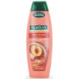 PALMOLIVE SH 2 IN 1 350 ML