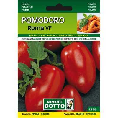 DOTTO SEMI DI POMODORO ROMA VF