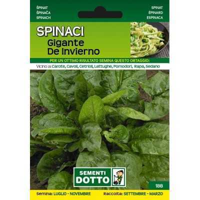 DOTTO SEMI DI SPINACIO GIGANTE DE INVERNO
