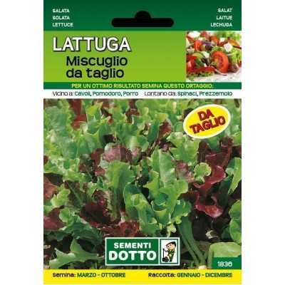 SEMI DI LATTUGA MUSCUGLIO DA TAGLIO