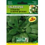SEMI DI VALERIANA DI OLANDA A SEME GROSSO