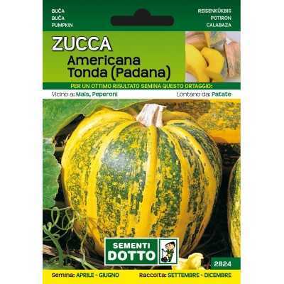 SEMI DI ZUCCA AMERICANA TONDA