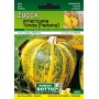 SEMI DI ZUCCA AMERICANA TONDA