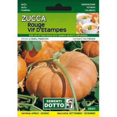 SEMI DI ZUCCA ROUGE VIF DI ETAMPES