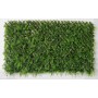 ARELLA CON STECCATO PIU ERBA SEMPREVERDE mt.1X2