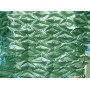 ARELLE SEMPREVERDI LAURO LIGHT mt.1,00x3,00.