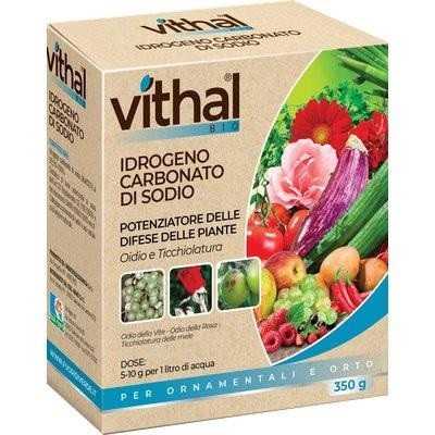 FUNGICIDA IDROGENO CARBONATO SODIO VITHAL BIO KB GR. 350