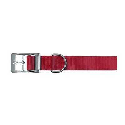 COLLAR FOR DOGS CLUB PERFORATED 25 37-45 ASS. THE