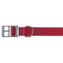 COLLAR FOR DOGS CLUB PERFORATED 25 37-45 ASS. THE