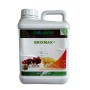 DELBON BRIXMAX Biostimolante speciale Brix LT. 5