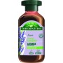 ANTICA ERBORISTERIA SHAMPOO ILLUMINANTE LAVANDA & ERBE DELLA
