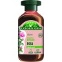 ANTICA ERBORISTERIA SHAMPOO NUTRIENTE ROSA CAPELLI SECCHI 250 ML