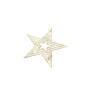 APPENDINO A FORMA DI STELLA M.0614 CHAMPAGNE CM. 30