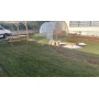 Serra da giardino con archi in ferro zincato e telo garantito 3 anni mt. 3x6