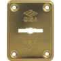CISA MOSTRINA RETTANGOLARE DOPPIA MAPPA 06082 OTTONE MM. 60x46