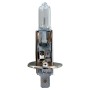 LAMPADINA ALOGENA PER AUTO H1 12VOLT 55WATT PZ. 1