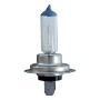 LAMPADINA ALOGENA PER AUTO H7 12VOLT 55WATT