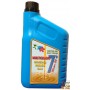 OLIO 15W40 PER MOTORE BENZINA DIESEL E GAS LT. 1 