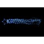STELLA COMETA LUMINOSA CON 800 MICROLED BIANCA MT. 3
