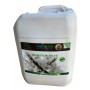 DELBON WINTER OUT BIOSTIMOLANTE CON AMINOACIDI DI ORIGINE
