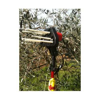 OLIVIA SCUOTIOLIVE ABBACCHIATORE 12V 4 ROTATING TEETH