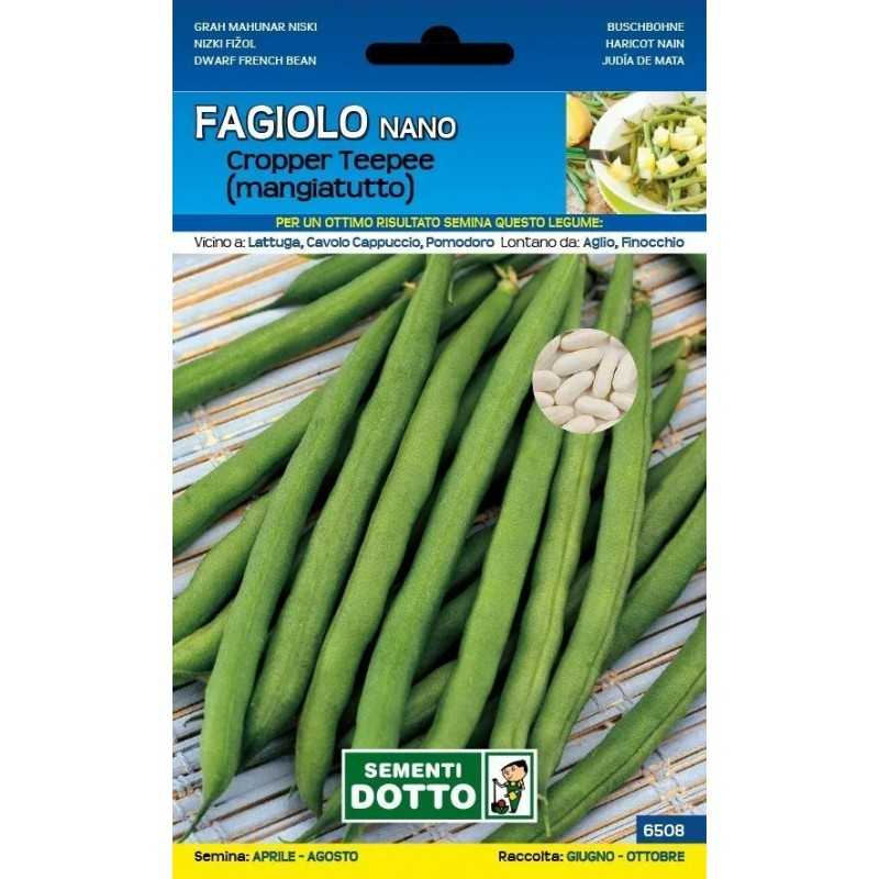 Semi di Fagiolo Corallo Nano. Acquistali online - Shop
