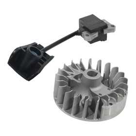Kit bobina e volano per Decespugliatore Kasei cc. 43 52 scarico