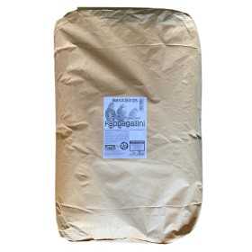 FEED FOR PARROTS PROFESSIONAL BASIC BIRD DOTTO KG. 25