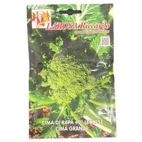LAROSA SEMI CIME DI RAPA 40 GIORNI LECCESE CIMA GRANDE