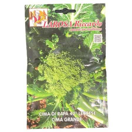 LAROSA SEMI CIME DI RAPA 40 GIORNI LECCESE CIMA GRANDE