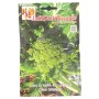 LAROSA SEMI CIME DI RAPA 40 GIORNI LECCESE CIMA GRANDE