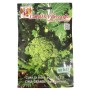 LAROSA SEMI CIME DI RAPA 60 GIORNI LECCESE CIMA GRANDE