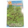 LAROSA SEMI CIME DI RAPA 60 GIORNI MOLFETTESE CIMA GRANDE GR.