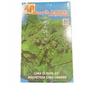 LAROSA SEMI CIME DI RAPA 60 GIORNI MOLFETTESE CIMA GRANDE GR.