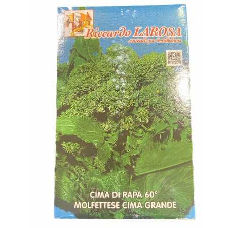 LAROSA SEMI CIME DI RAPA 60 GIORNI MOLFETTESE CIMA GRANDE GR.