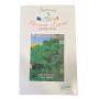 LAROSA SEMI CIME DI RAPA 50 GIORNI CIMA GRANDE GR. 500