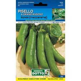 SEEDS OF PEA HALF RAMA RONDO KG. 1