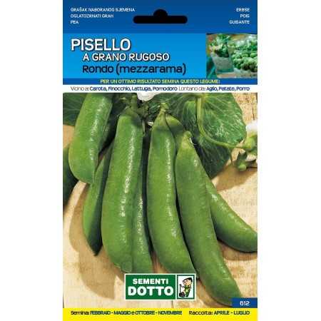 SEEDS OF PEA HALF RAMA RONDO KG. 1