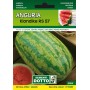 KLONDIKE WATERMELON SEEDS