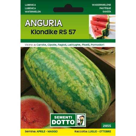 DOTTO SEMI DI ANGURIA KLONDIKE
