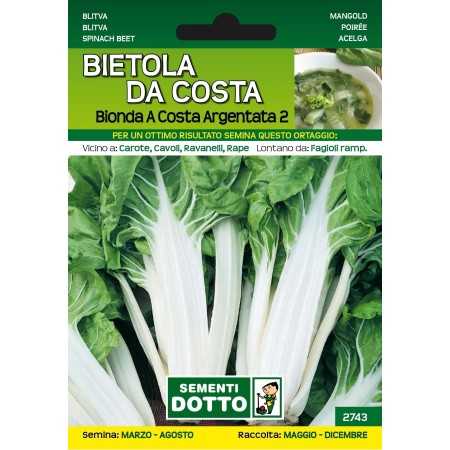 BEET SEEDS FROM COSTA BIONDA TO COSTA ARGENTATA 2 GR. 500