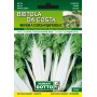 BEET SEEDS FROM COSTA BIONDA TO COSTA ARGENTATA 2 GR. 500