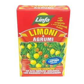 LYMPH ORGANO-MINERAL FERTILIZER FOR LEMONS AND CITRUS FRUITS