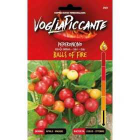 VOGLIA PICCANTE SEMI DI PEPERONCINO PICCANTE BALLS OF FIRE