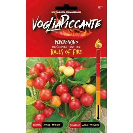 VOGLIA PICCANTE SEMI DI PEPERONCINO PICCANTE BALLS OF FIRE